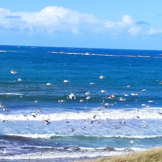 Gite Kerbourc'H Charmant Et Confortable, Mer Et Plages A 3Km, Ploudalmézeau Eksteriør billede
